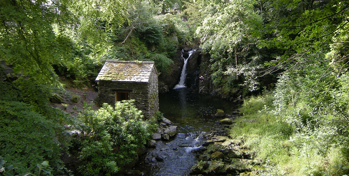 Achtsamkeit in der Natur