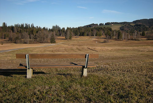 Bank